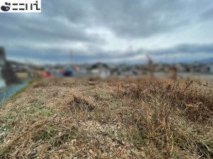 揖保郡太子町佐用岡、土地の外観画像です