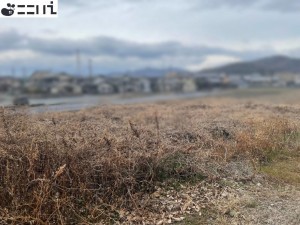 揖保郡太子町佐用岡、土地の外観画像です