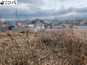 揖保郡太子町佐用岡、土地の外観画像です