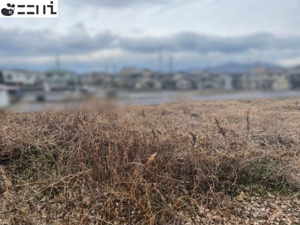 揖保郡太子町佐用岡、土地の外観画像です
