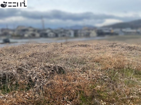 揖保郡太子町佐用岡、土地の外観画像です