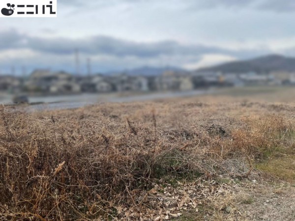 揖保郡太子町佐用岡、土地の外観画像です