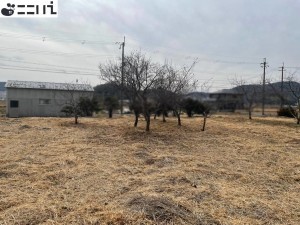 たつの市揖西町小畑、中古一戸建ての周辺画像画像です
