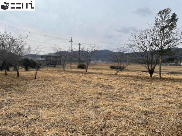 たつの市揖西町小畑、中古一戸建ての周辺画像画像です