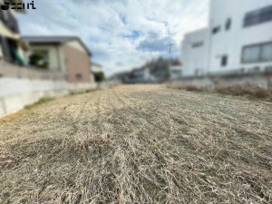 たつの市新宮町新宮、土地の外観画像です