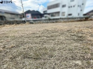 たつの市新宮町新宮、土地の外観画像です