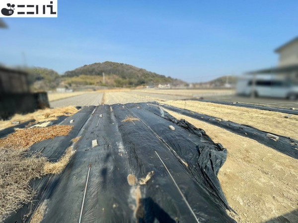 たつの市御津町朝臣、土地の外観画像です