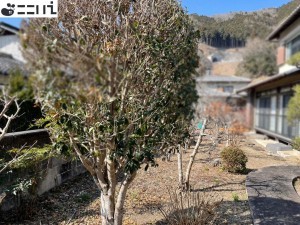 たつの市新宮町牧、中古一戸建てのその他画像です