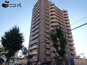 姫路市南畝町、マンションの画像です