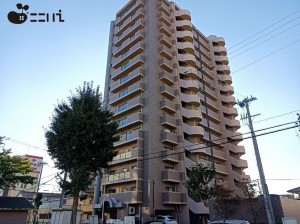 姫路市南畝町、マンションの画像です