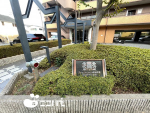 姫路市野里、マンションの画像です