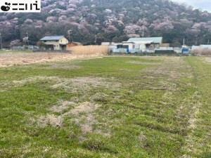揖保郡太子町天満山、土地の画像です