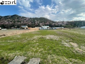 揖保郡太子町天満山、土地の画像です