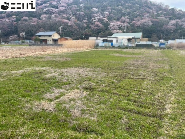 揖保郡太子町天満山、土地の画像です