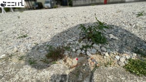 たつの市龍野町富永、土地のその他画像です