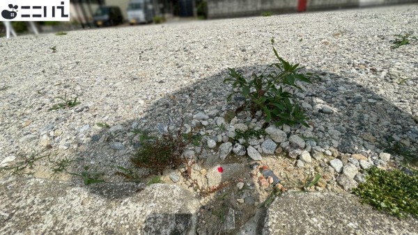 たつの市龍野町富永、土地のその他画像です