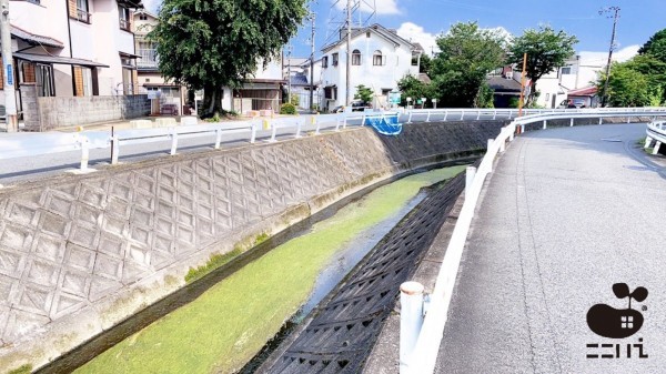 姫路市上大野、マンションのその他画像です