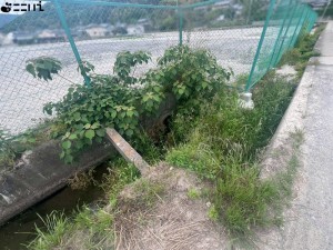 たつの市御津町岩見、土地のその他画像です