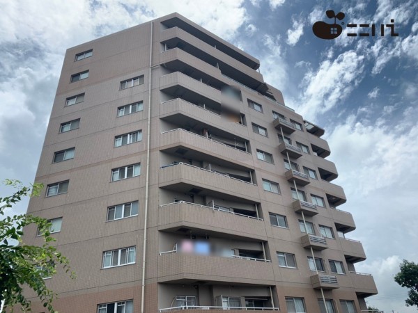 姫路市八代東光寺町、マンションの外観画像です