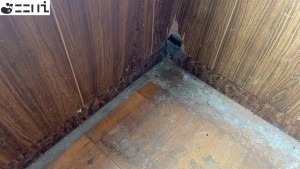 揖保郡太子町岩見構、中古一戸建てのその他画像です