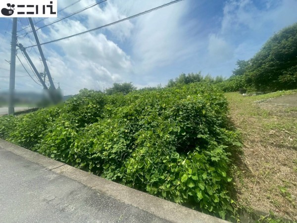 たつの市揖保川町養久、土地の前面道路を含む現地写真画像です