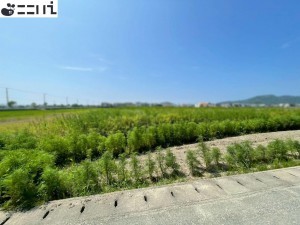 たつの市御津町朝臣、土地の外観画像です