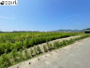 たつの市御津町朝臣、土地の外観画像です