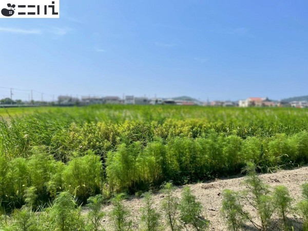 たつの市御津町朝臣、土地の外観画像です