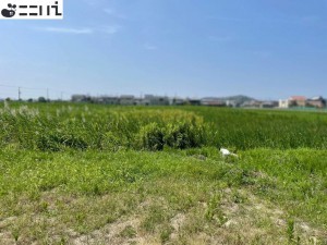 たつの市御津町朝臣、土地の外観画像です