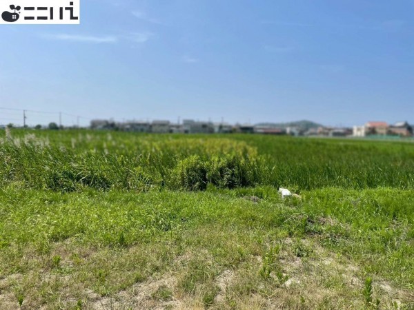 たつの市御津町朝臣、土地の外観画像です