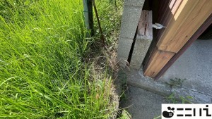 たつの市龍野町日飼、土地のその他画像です