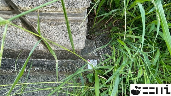 たつの市龍野町日飼、土地のその他画像です