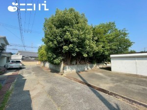 姫路市保城、土地の画像です