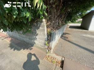 姫路市保城、土地の画像です