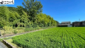 たつの市龍野町島田、土地の外観画像です