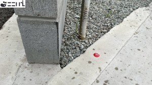 相生市双葉、新築一戸建てのその他画像です