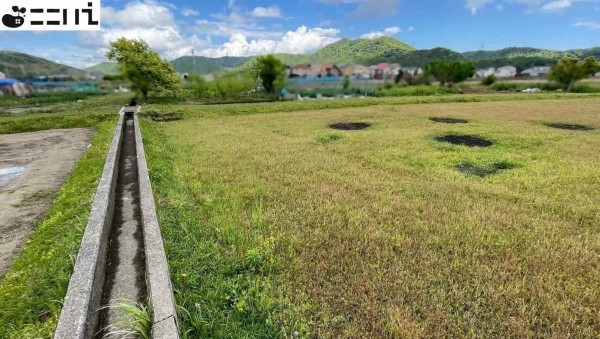 揖保郡太子町太田、土地の画像です