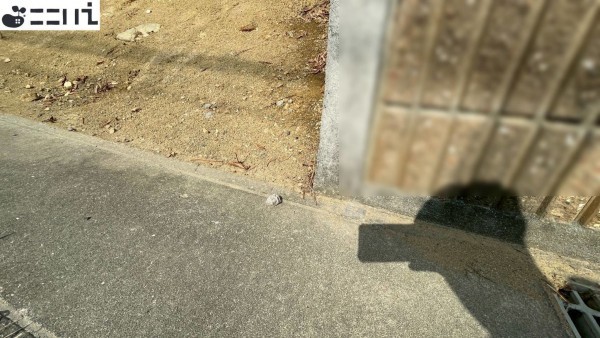 相生市大石町、土地のその他画像です