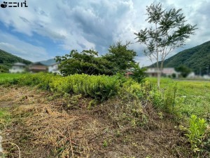 たつの市新宮町香山、中古一戸建ての外観画像です