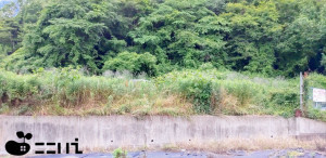 姫路市御立東、土地の外観画像です