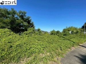 たつの市揖西町構、土地の外観画像です