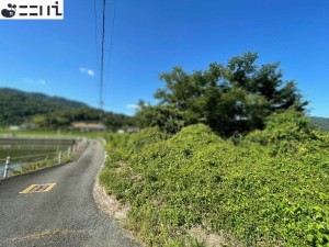 たつの市揖西町構、土地の前面道路を含む現地写真画像です