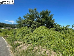 たつの市揖西町構、土地の外観画像です