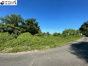 たつの市揖西町構、土地の外観画像です