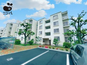 姫路市飾磨区恵美酒、マンションの外観画像です