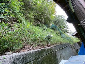 相生市千尋町、中古一戸建てのその他画像です