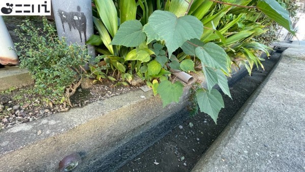 たつの市御津町中島、中古一戸建てのその他画像です