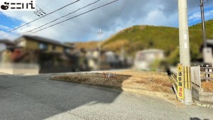 たつの市新宮町平野、土地の外観画像です