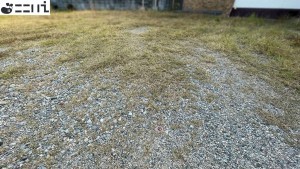 相生市赤坂、土地の外観画像です