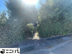 揖保郡太子町福地、土地の外観画像です